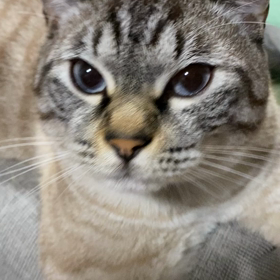 コロナで心まで奪われてはいけません！の画像