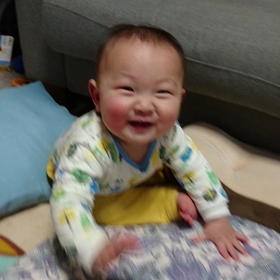 覚えた芸の画像