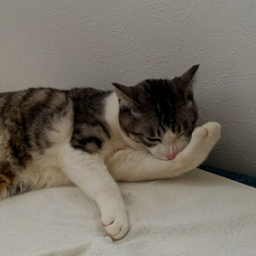 ホッ･･･との画像