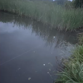 この音アラームにしたい⏰の画像