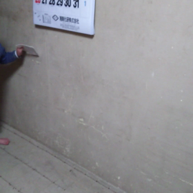 やっとお披露目の画像