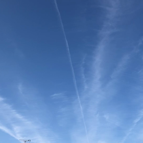 春を感じての画像