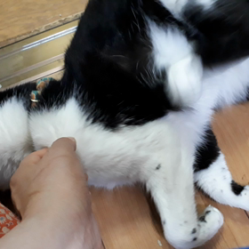 気持ちいいところの画像