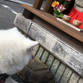 今日は節分の日の画像