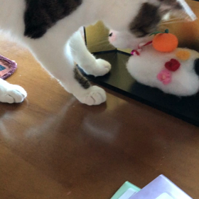 コロナのせいでマウンテンクライマーがきつい！いたずらデール！の画像