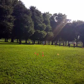 学年別インターバル(紺・黄緑・その他)⑨の画像