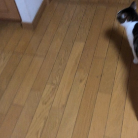 やっと…とうとう　保育園もお休みへ… デールデッサンに向けて〜の画像