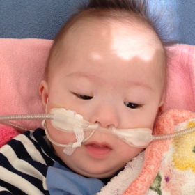 今日のつばちゃんの画像