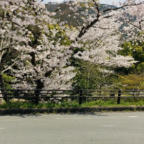 食料買い出しにの帰り道……の画像