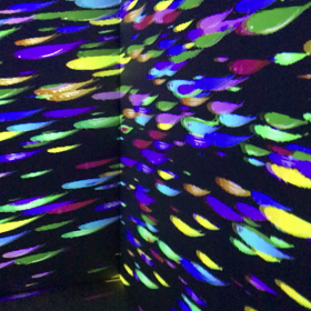 光の深海展の画像