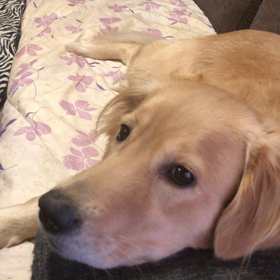 今朝の我が家の画像