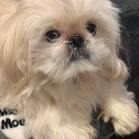 おはよーの画像