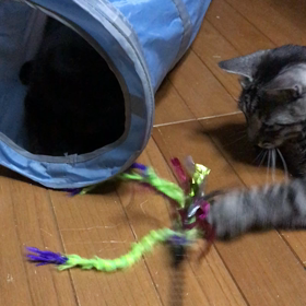 よくわかりません…の画像