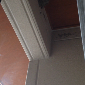 入れ替わる瞬間♪の画像