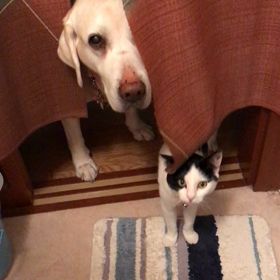 日常ストーカーの画像