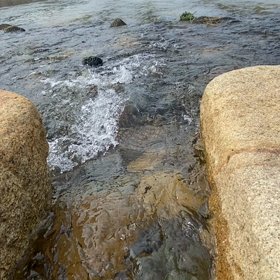川の流れの画像