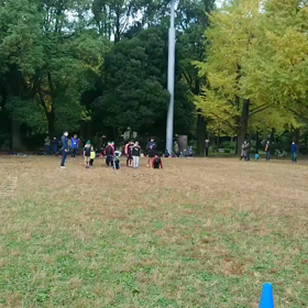 ダッシュ(緑チーム)⑫の画像