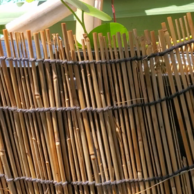 残暑お見舞い申し上げますの画像