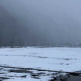 雪にも負けずの画像