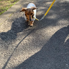 はじまったぁ（ーー；）の画像