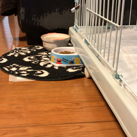 動画貼ってみますwの画像