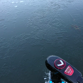 なかなか出来ない体験の画像