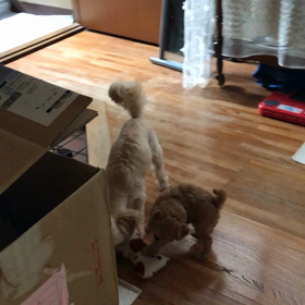 パパとママと遊んだら弾き飛ばされイテテの画像