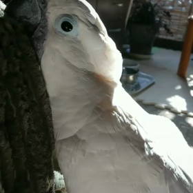 反省をしていた、家の子(；´∀｀)の画像