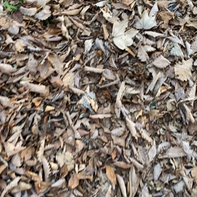 大好きな歩み　の画像