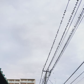 昼はどこにいるんでしょ？の画像