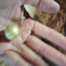 満月からのメッセージ☆足を洗うの画像