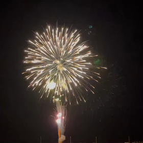 楽しい夏休みの画像