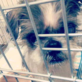 slide story アプリの画像