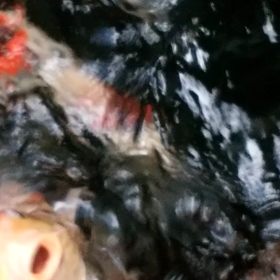 復調か！？の画像