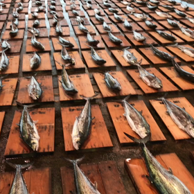 豊浜朝市の様子！の画像