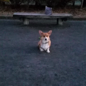 やり直し。の画像