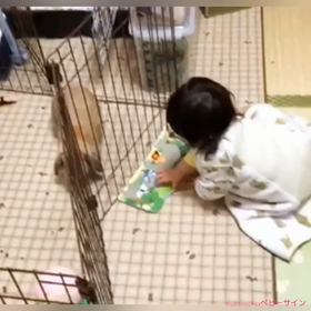 1歳1ヶ月の思いやりは…『絵本の読み聞かせ』にも現れました♡の画像