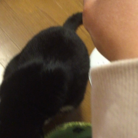 グーパーが嫌いなのです（；￣ェ￣）の画像