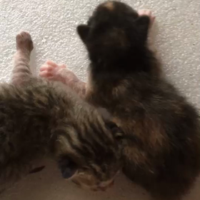 遠距離夫婦ーこれからーの画像