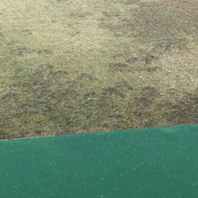 雪(￣◇￣;)の画像