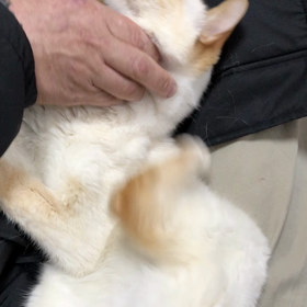 かいてる⁈の画像