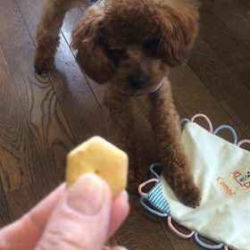 ☆イライラクッキー  ☆の画像