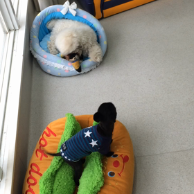 ♪プレイルーム動画♪②の画像