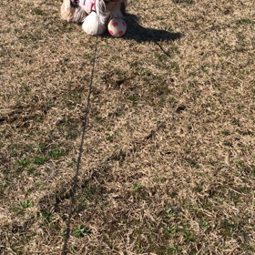 ボール遊びの画像