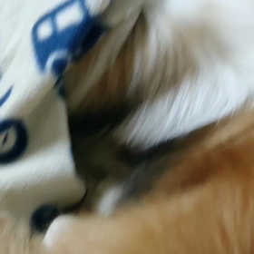 何やってんの？の画像