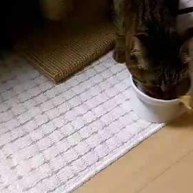 ゆずのこと＊経過＊の画像