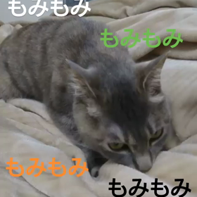 もみもみもみもみもみもみの画像