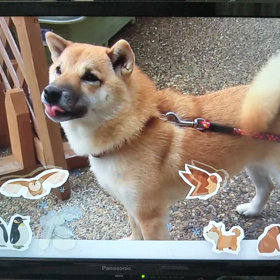 痛恨のミスの画像