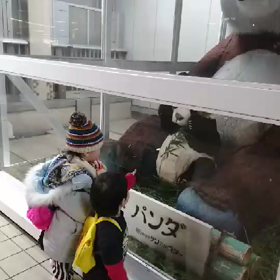 今日はパンダの日の画像