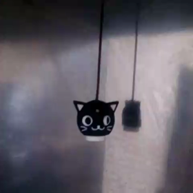 ネコネコキッチン❤の画像